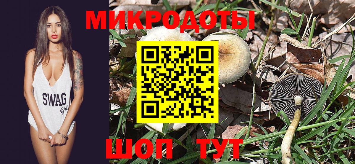Галлюциногенные грибы мицелий Элиста